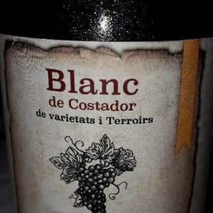 Blanc de Costador - Costador Terroirs Mediterranis - joan-franquet