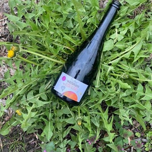 Blanc De Franc Petillant Naturel - Weingut Wassmann - susann-hanauer-ralf-wassmann -2021