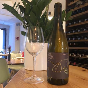 Blanc de Muscat - Ve d'Avior - cati-ribot -2021