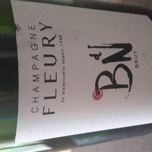 Champagne Fleury - Morgane, Jean-Sébastien & Benoit Fleury - Blanc de Noirs Brut