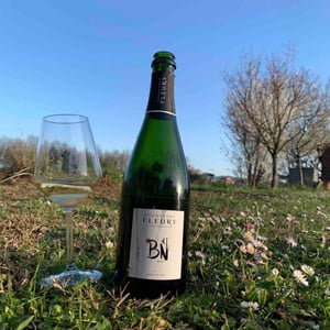 Champagne Fleury - Morgane, Jean-Sébastien & Benoit Fleury - Blanc de Noirs Brut