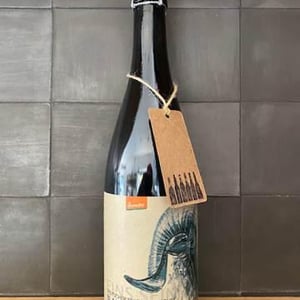 Blanc de Noirs Brut Natur - Winzerhof Linder - elena-bollin-ronald-linder