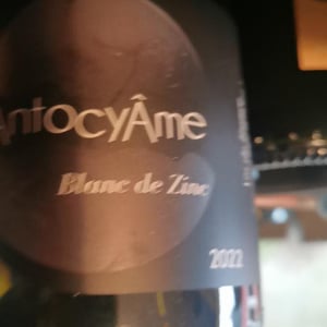 Blanc de Zinc - AntocyÂme - muriel-zoldan