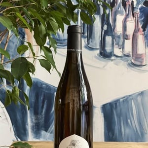 Blanc du Casot - Casot des Mailloles - Jordi Perez 