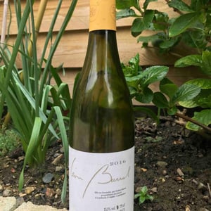 Blanc - Domaine Léon Barral - didier-barral
