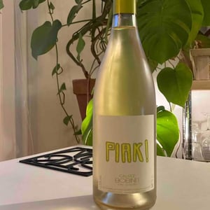 Domaine Calvez-Bobinet - Sébastien Bobinet & Emeline Calvez - Piak blanc