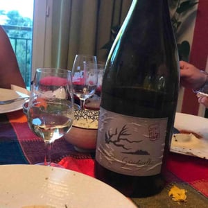 Blanc - Domaine Giudicelli - muriel-giudicelli