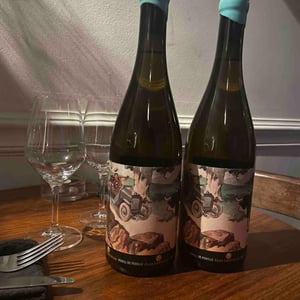 Perill Blanc - Clos Lentiscus - manel-avino