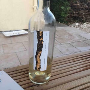 Tout Doux (blanc moelleux ) - Domaine Julien Auroux - Julien Auroux 