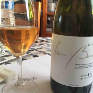 Blanc - Domaine Léon Barral - didier-barral