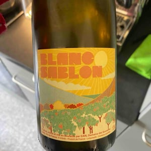 Blanc sablon - Domaine des sonnettes, loire valley - edouard-gouyette-lisanne-van-son -2023