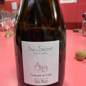 Blanc Secret - Bois Mozé - mathilde-giraudet -2015