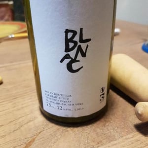 Mas Brunet - Rémy Kuntz - Le Blanc