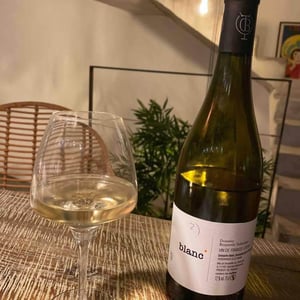 Blanc - Domaine Benjamin Taillandier - Benjamin Taillandier 