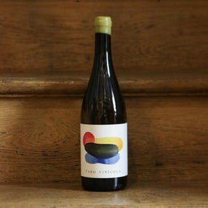 Taro Blanco - Taro Vinícola - pablo-matallana -2018