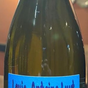 Gamay Blanc - Agricola Luyt - louis-antoine-luyt -2020