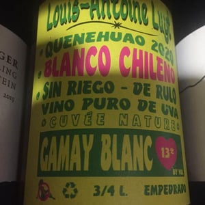 Gamay Blanc - Agricola Luyt - louis-antoine-luyt -2020