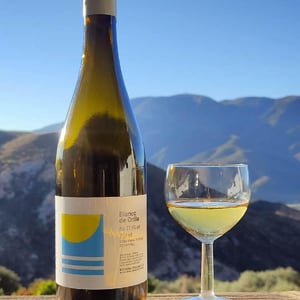Blanco De Orilla 2021