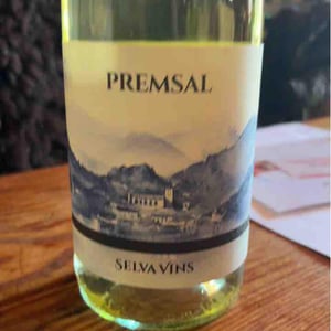 Blanco - Selva Vins - Carlos Rodriguez Furthmann 
