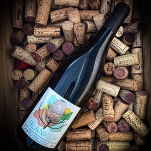 Blanksia - Domaine des Sonnettes - Sonshine Vins - edouard-gouyette-lisanne-van-son