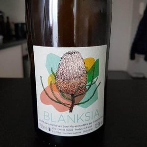 Domaine des Sonnettes - Sonshine Vins - Edouard Gouyette & Lisanne van Son - Blanksia