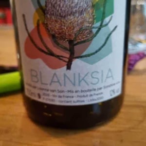 Blanksia - Domaine des Sonnettes - Sonshine Vins - edouard-gouyette-lisanne-van-son