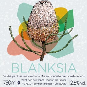 Blanksia 2019