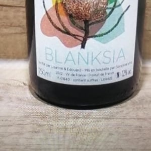 Blanksia - Domaine des Sonnettes - Sonshine Vins - Edouard Gouyette & Lisanne van Son 
