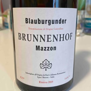Blauburgunder - Brunnenhof Mazzon - johanna-and-kurt-rottensteiner -2019