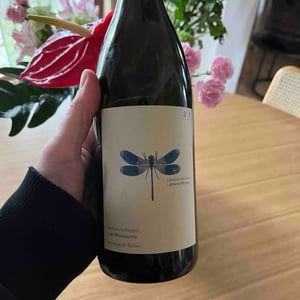 Weingut Andreas & Elisabeth Tscheppe - Andreas & Elisabeth Tscheppe - Blaue Libelle - Sauvignon Blanc