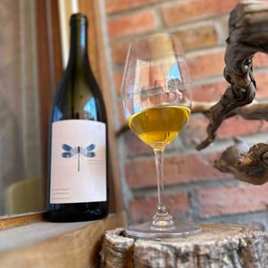 Weingut Andreas & Elisabeth Tscheppe - Andreas & Elisabeth Tscheppe - Blaue Libelle - Sauvignon Blanc