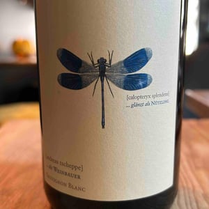 Weingut Andreas & Elisabeth Tscheppe - Andreas & Elisabeth Tscheppe - Blaue Libelle - Sauvignon Blanc