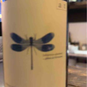 Weingut Andreas & Elisabeth Tscheppe - Andreas & Elisabeth Tscheppe - Blaue Libelle - Sauvignon Blanc