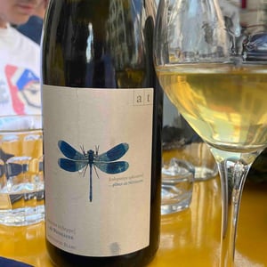 Blaue Libelle - Sauvignon Blanc - Weingut Andreas & Elisabeth Tscheppe - Andreas & Elisabeth Tscheppe 