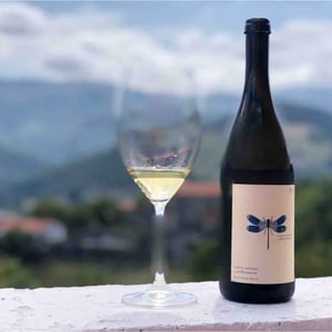 Blaue Libelle - Sauvignon Blanc - Weingut Andreas & Elisabeth Tscheppe - Andreas & Elisabeth Tscheppe 
