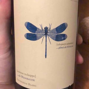 Blaue Libelle - Sauvignon Blanc - Weingut Andreas & Elisabeth Tscheppe - andreas-elisabeth-tscheppe