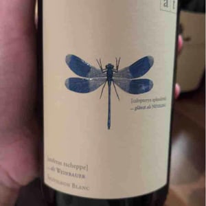 Weingut Andreas & Elisabeth Tscheppe - Andreas & Elisabeth Tscheppe - Blaue Libelle - Sauvignon Blanc