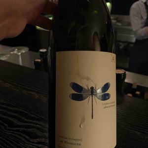 Blaue Libelle - Sauvignon Blanc - Weingut Andreas & Elisabeth Tscheppe - Andreas & Elisabeth Tscheppe 