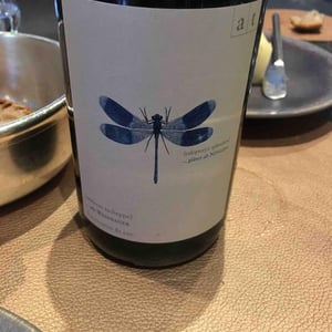Blaue Libelle - Sauvignon Blanc - Weingut Andreas & Elisabeth Tscheppe - Andreas & Elisabeth Tscheppe 