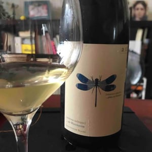 Blaue Libelle - Sauvignon Blanc - Weingut Andreas & Elisabeth Tscheppe - andreas-elisabeth-tscheppe