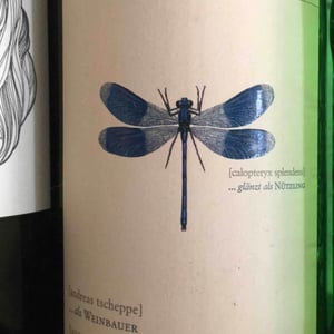 Blaue Libelle - Sauvignon Blanc - Weingut Andreas & Elisabeth Tscheppe - Andreas & Elisabeth Tscheppe 