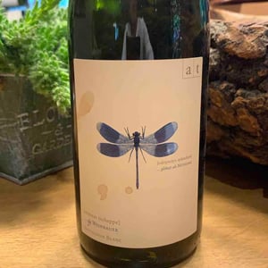 Blaue Libelle - Sauvignon Blanc - Weingut Andreas & Elisabeth Tscheppe - Andreas & Elisabeth Tscheppe 