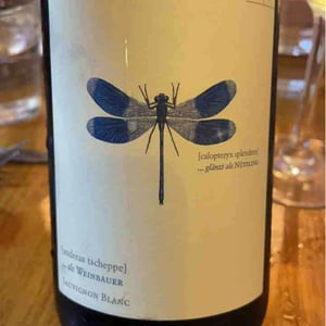 Weingut Andreas & Elisabeth Tscheppe - Andreas & Elisabeth Tscheppe - Blaue Libelle - Sauvignon Blanc