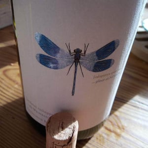 Weingut Andreas & Elisabeth Tscheppe - Andreas & Elisabeth Tscheppe - Blaue Libelle - Sauvignon Blanc