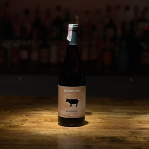 Blaufränkisch - Meinklang - Weingut Michlits - angela-werner-michlits
