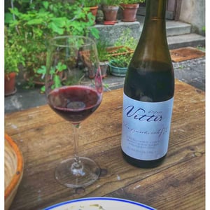 Blaufränkisch - In Vino Vita - Stefan Vetter 