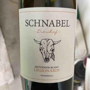 Blaufränkisch vom Sausal - Weingut Karl Schnabel - Karl & Eva Schnabel 