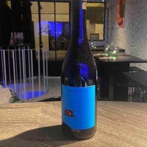 Blaufränkisch - Weingut Beck - judith-beck
