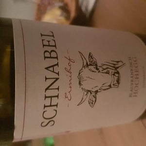 Blaufränkisch Hochegg - Weingut Karl Schnabel - Karl & Eva Schnabel 