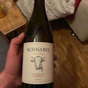 Blaufrankisch Koregg - Weingut Karl Schnabel - Karl & Eva Schnabel -2017